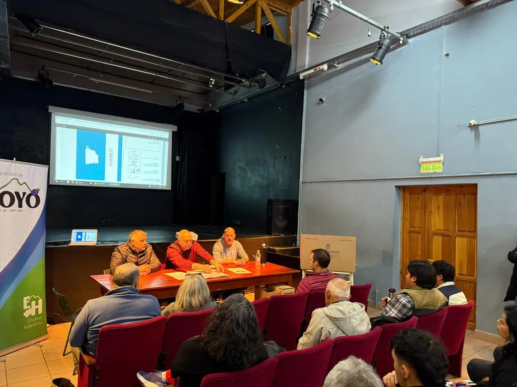 capacit boleta unica