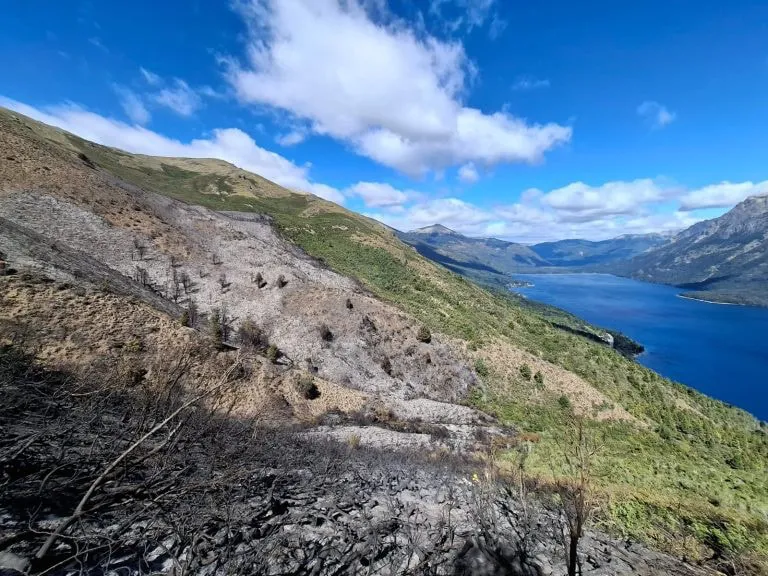 incendio cerro meta 1