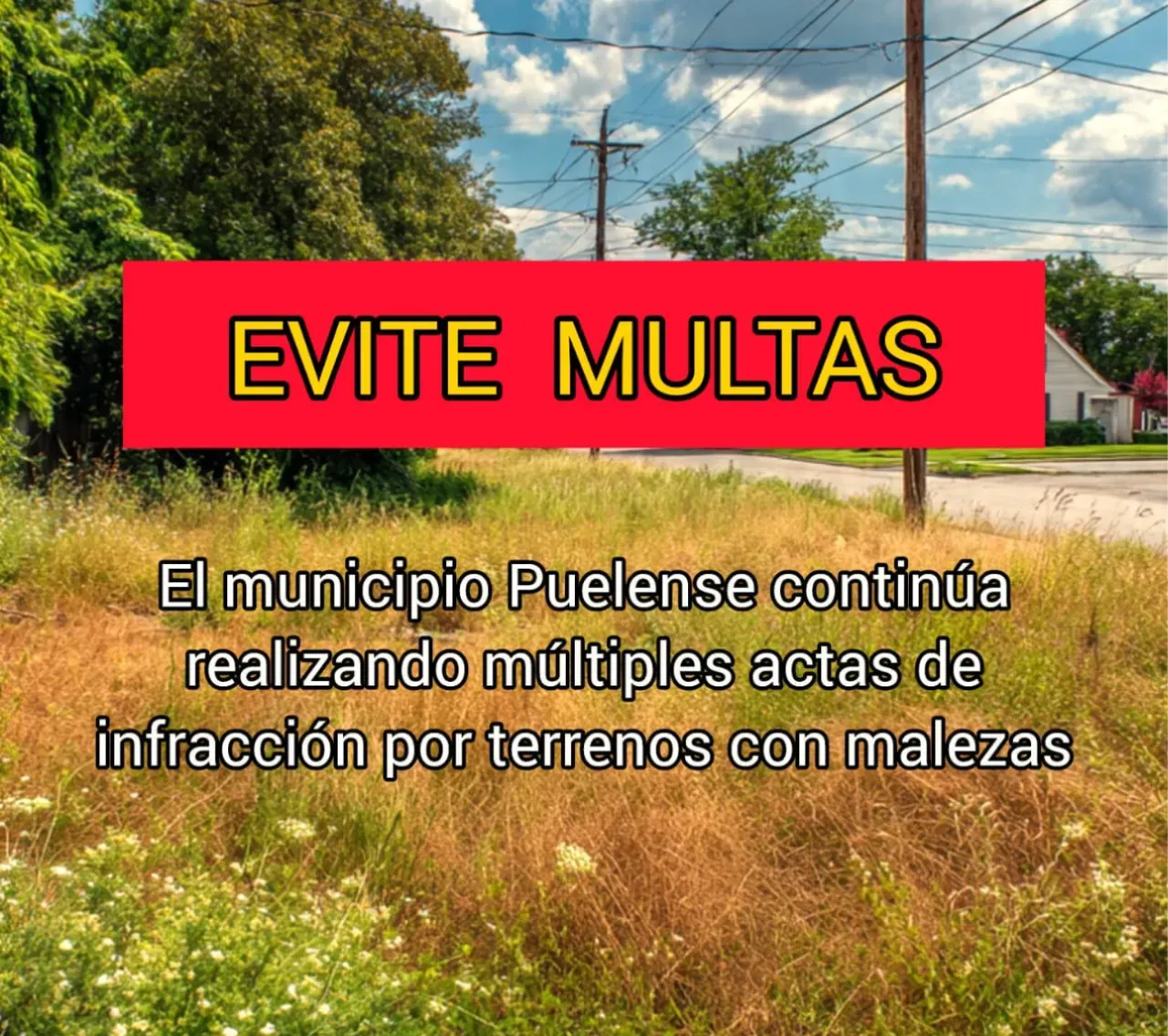multas lp