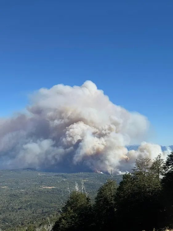 incendio mallin 6