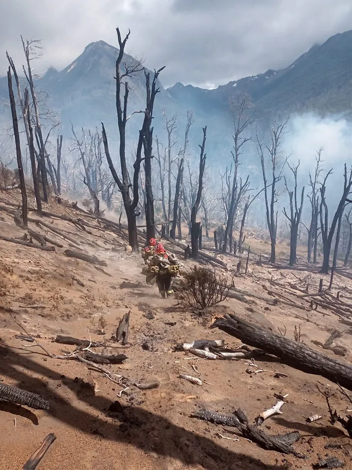 incendio los alerces 43