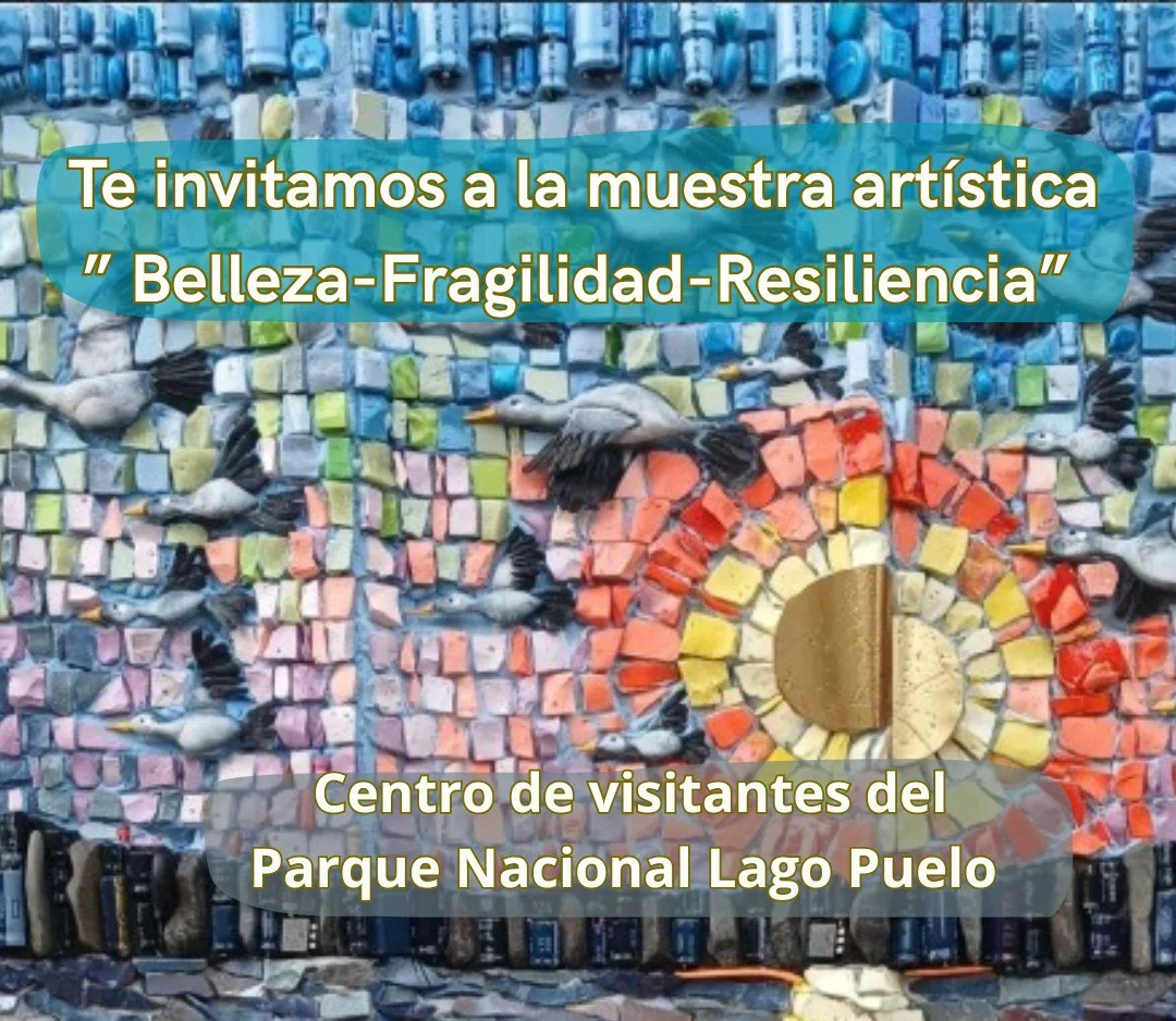 657529635_1347530913891451_949235443604042531_n